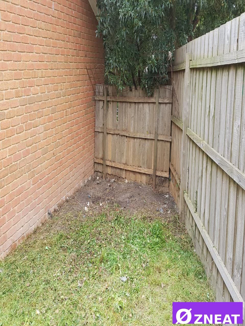 Overgrown Backyard - After 1