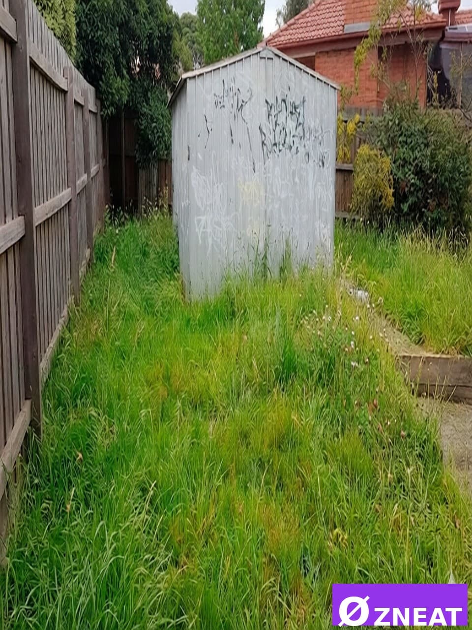 Overgrown Backyard - Before 2
