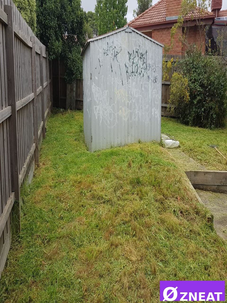 Overgrown Backyard - After 2