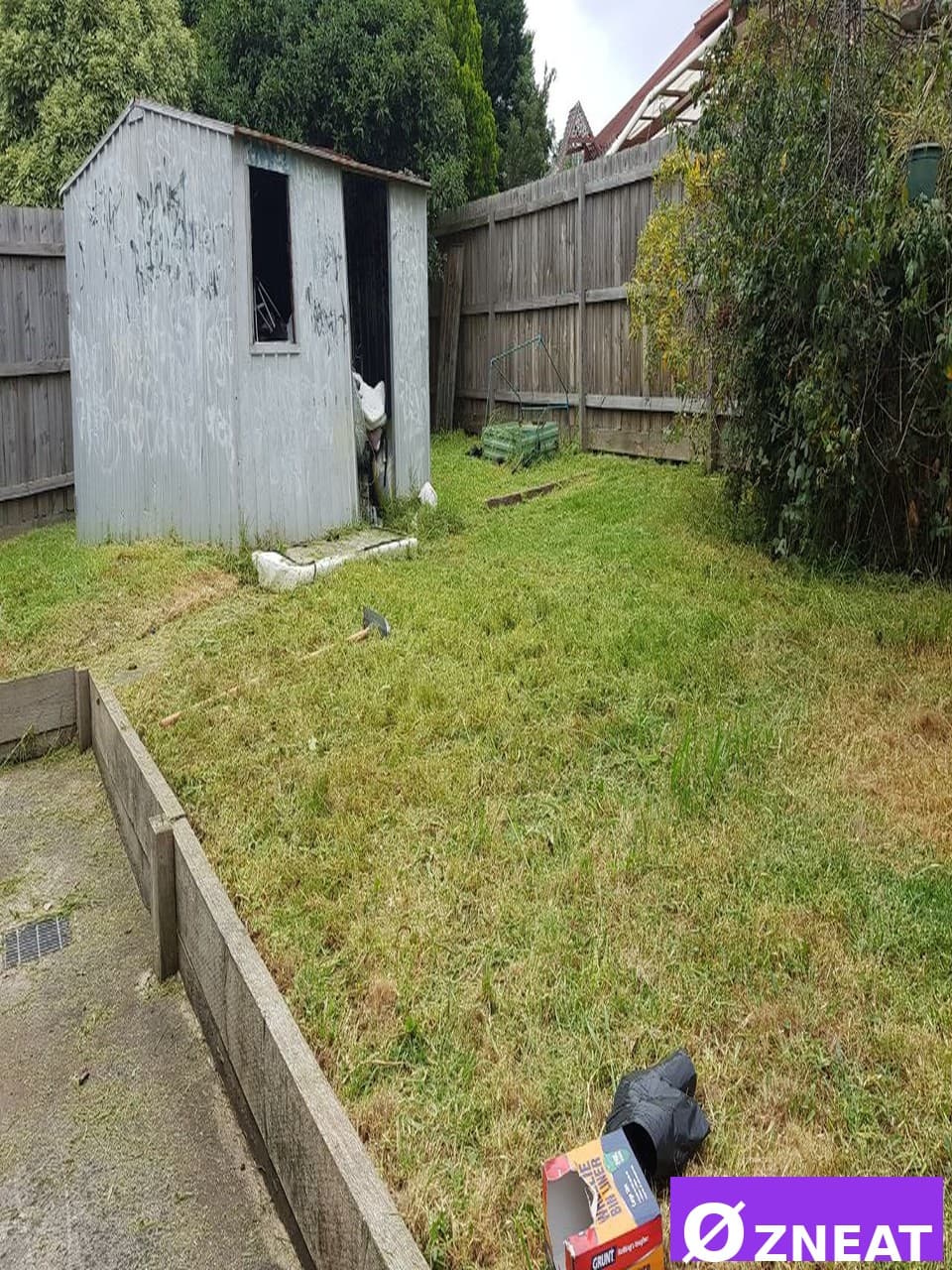 Overgrown Backyard - After 3