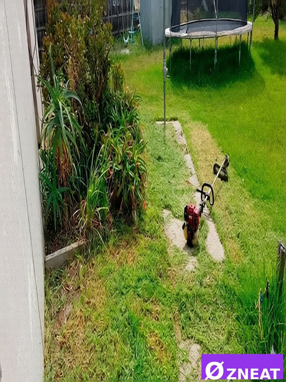 Overgrown Backyard - After 4