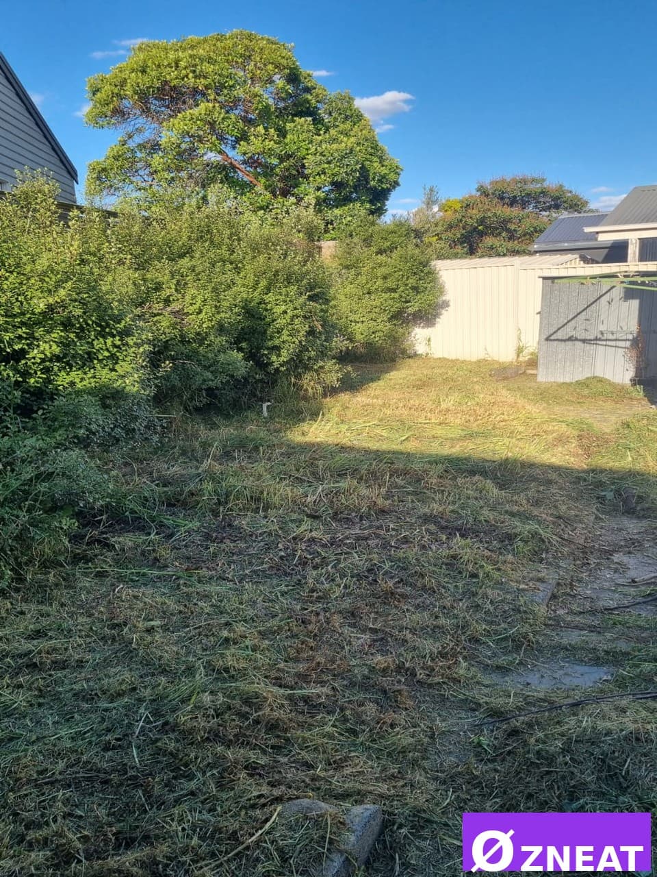 Lawn Mowing Service - After 1