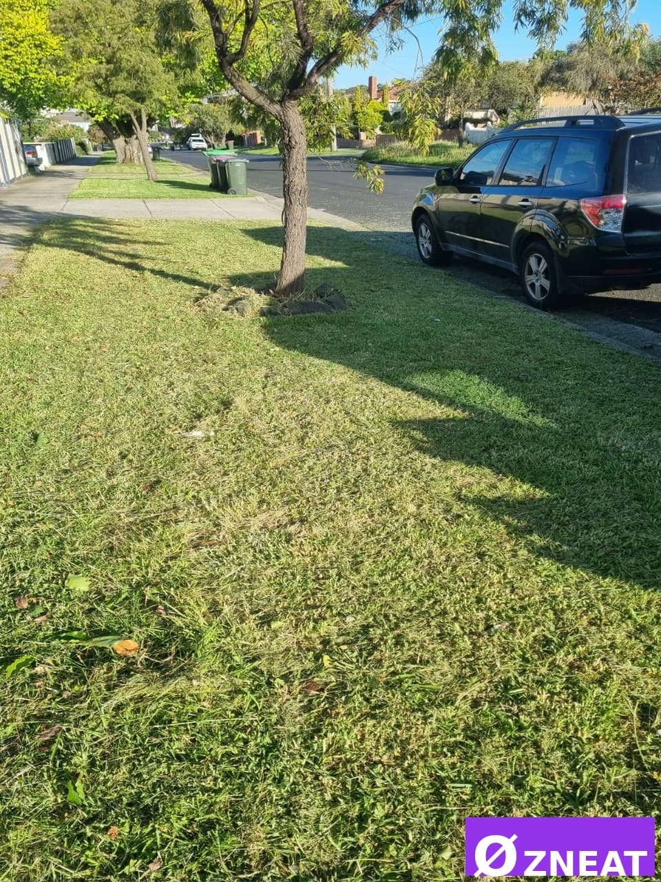 Lawn Mowing Service - After 2