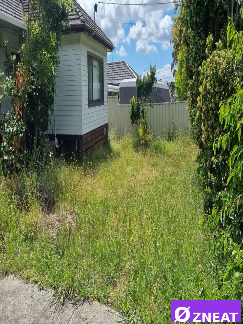 Lawn Mowing Service - Before 4