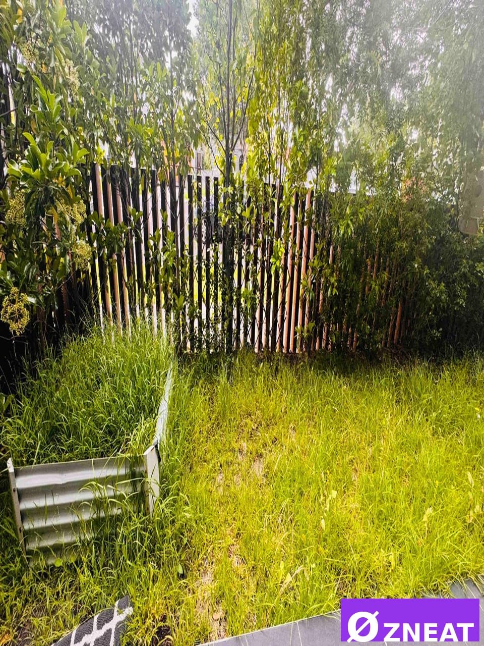 Cozy Unit Clean - Before 2